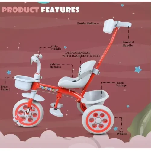 Musical Tricycle for Kids
